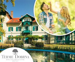terme dobrna