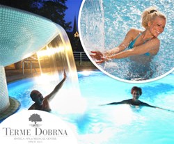 terme dobrna