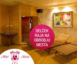 hotel medno