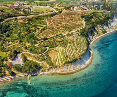 Sprošcen poletni oddih v Vili Hotel Belvedere 3*