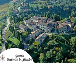 Fattoria Castello di Starda