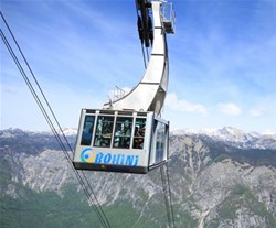 vogel