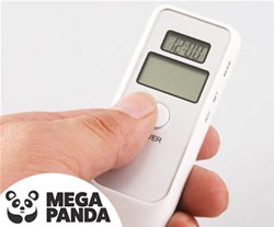Mega Panda