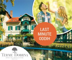 terme dobrna