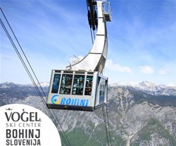 vogel