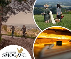 smogavc