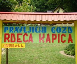 gozd