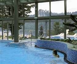 wellness živa