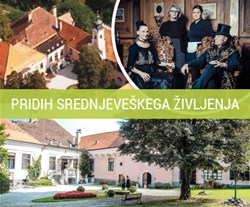grajska pravljica