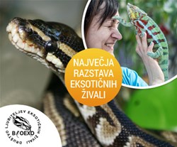 Bioexo razstava
