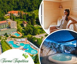 Terme Topolšica