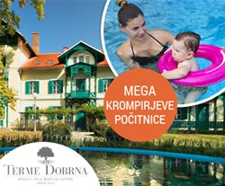terme dobrna