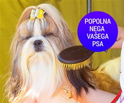 Pasji salon Yuki