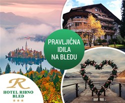 hotel ribno