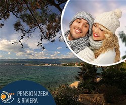 Pansion Zeba