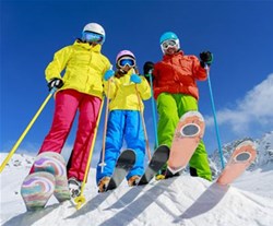 ski servis