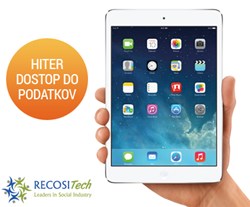 iPad Mini