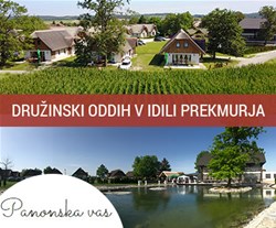 Panonska vas