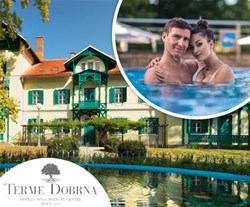 terme dobrna