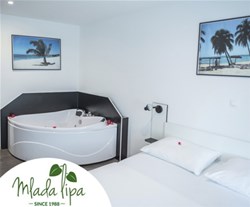 mlada lipa