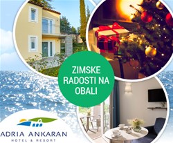 olive suites