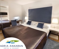 olive suites