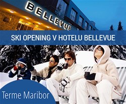 Hotel Bellevue