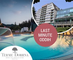 terme dobrna