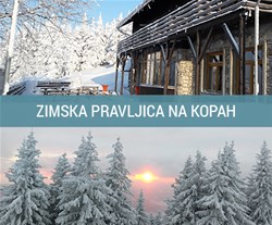 Partizanski dom