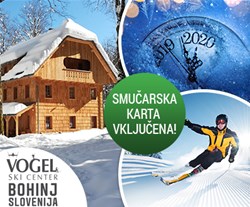 vogel