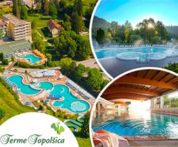 Terme Topolšica