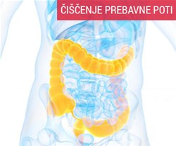Čiščenje črevesja