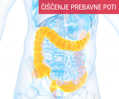 Tecaj ocišcenja crevesja s posebnimi tehnikami, 8h