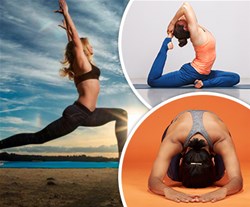 Nirvana Fitness