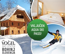 vogel