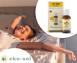 bio bachove globule