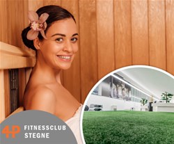 4P FitnessClub Stegne