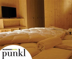 Mladinski hotel Punkl