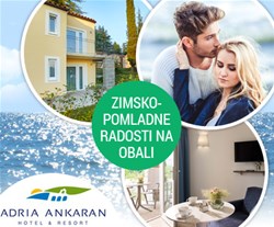 olive suites