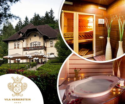V. Herberstein 4* Velenje