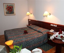 terme čatež