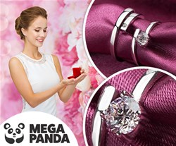 Mega Panda