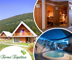 Terme Topolšica