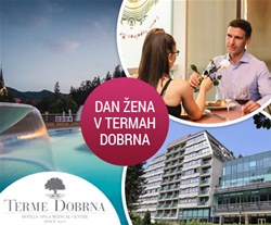 terme dobrna