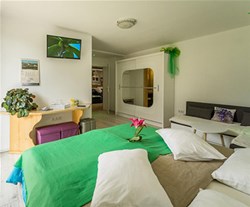 Pr Jakapč Mojstrana