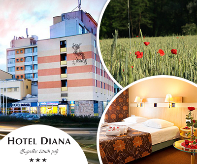 Hotel Diana 3*, Murska Sobota: kolesarsko doživetje