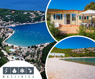 Mobile homes Camping Oliva, Rabac: standard hišica