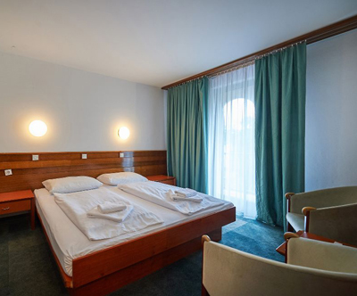 Hotel Slovenj Gradec 3*: turistični bon