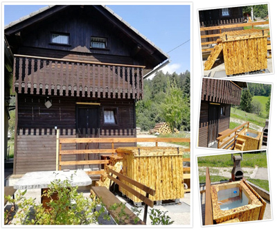 Pocitniška hiška Borovnica, v Lazah: turistični bon