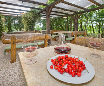 Hotel Filipini, Poreč: oddih s polpenzionom